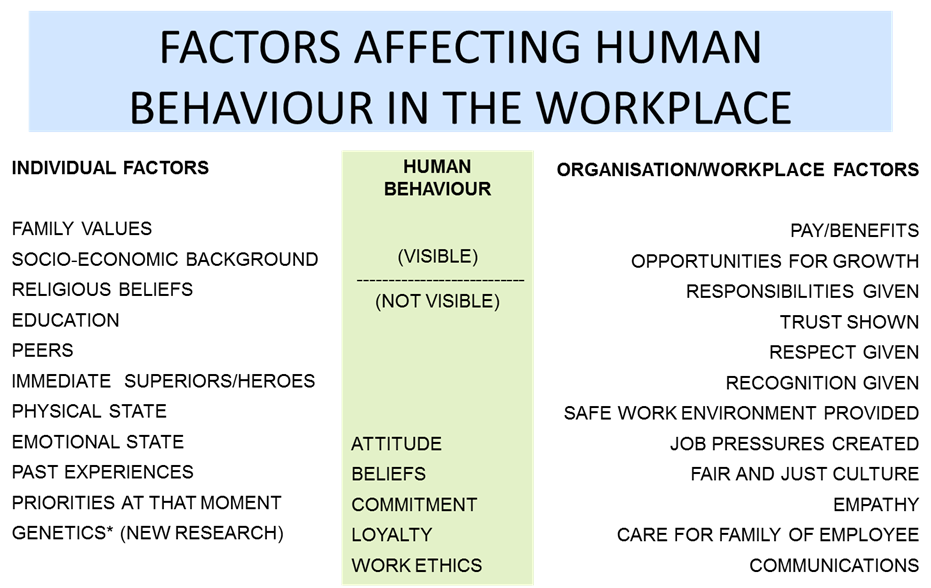 Factor Affecting Human Behaviour in a workplace